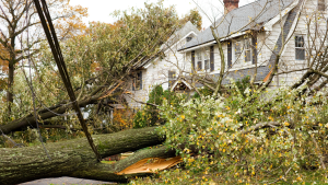 Wind Damage – Are you prepared for the worst?